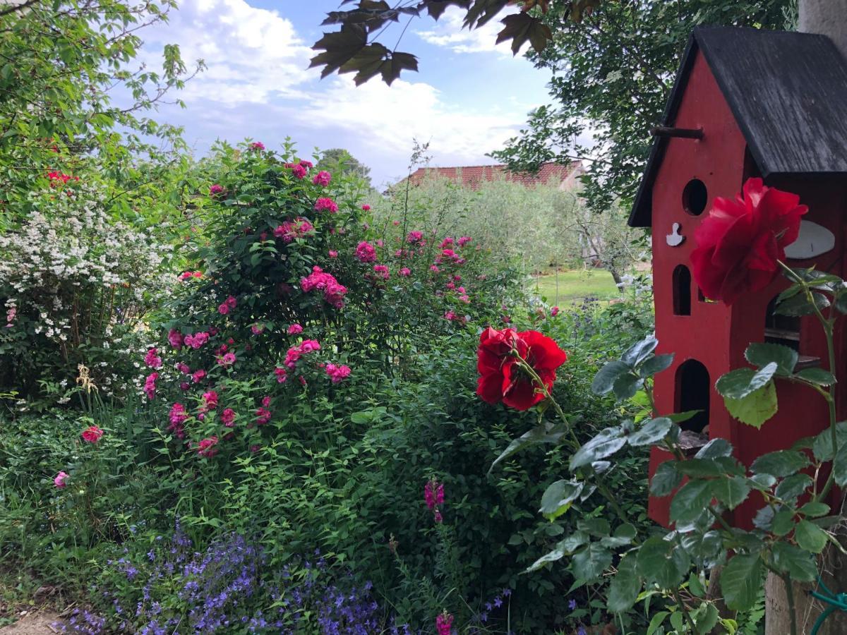 Apartmani Dubasnica Malinska Luaran gambar